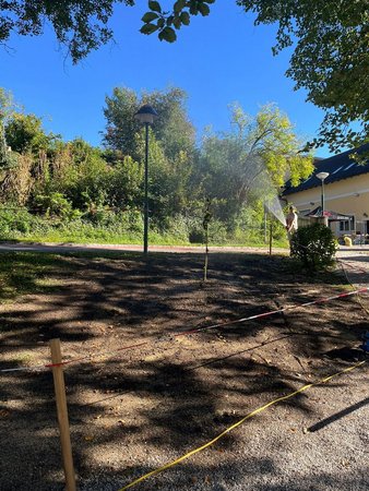 Von Sonnenstrahlen werd I gern gweckt