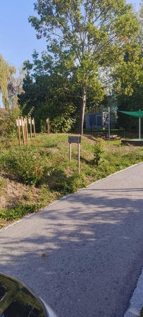 Sonntag Vormittag - 13.09.2026