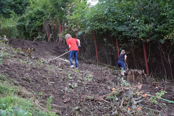 Projektmarathon ganz NÖ - Tag 2