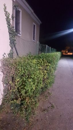 Bruck an der Leitha - Tag 1