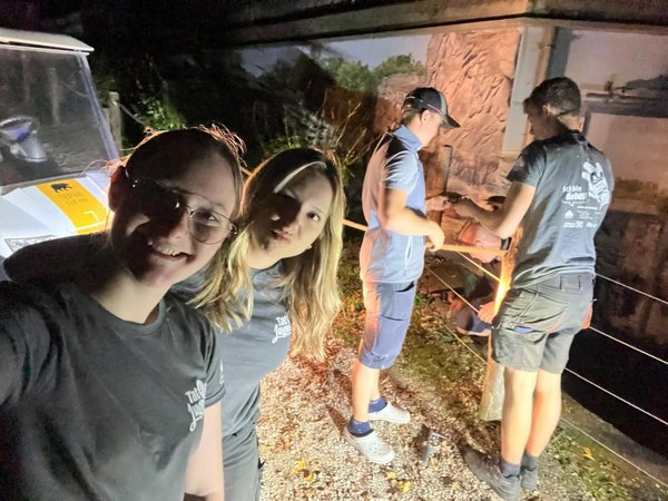 Samstag Nachmittag/Abend