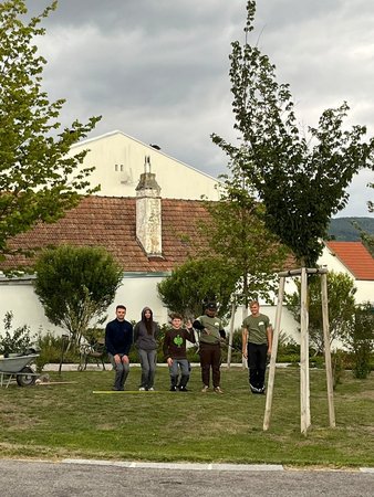 Beweisfotos Freitag