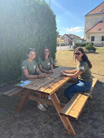 Auf der Zielgeraden - So. 06.09.2026, Vormittag